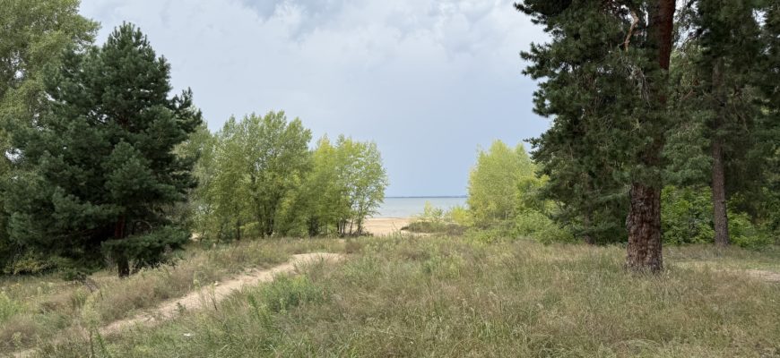 В День знаний в Тольятти ожидается до +27 °C В День знаний в Тольятти ожидается до +27 °C