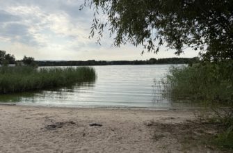 В Самарской области ожидается похолодание до +16 °C к концу недели В Самарской области ожидается похолодание до +16 °C к концу недели