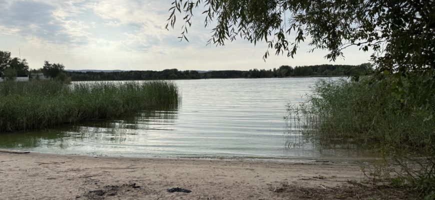 В Самарской области ожидается похолодание до +16 °C к концу недели В Самарской области ожидается похолодание до +16 °C к концу недели