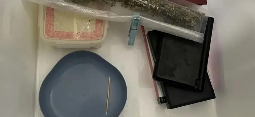 Житель Тольятти задержан за хранение наркотиков в крупном объеме