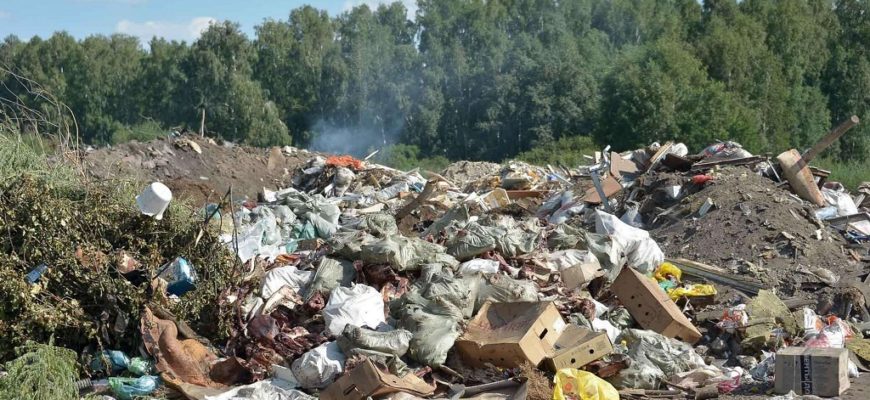 Не взыщите: суд объяснил, почему уборка помоек осталась головной болью городских властей Тольятти Не взыщите: суд объяснил, почему уборка помоек осталась головной болью городских властей Тольятти