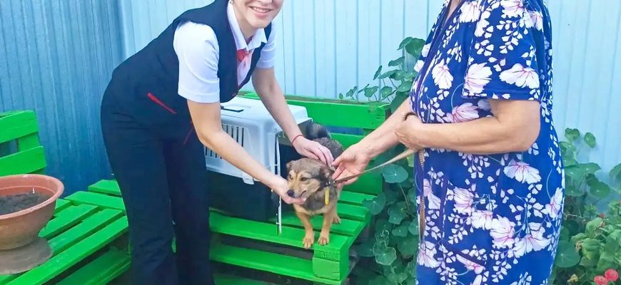 «Ласточка» для Белки: потерявшаяся собака проехала через половину Самарской области и вернулась домой