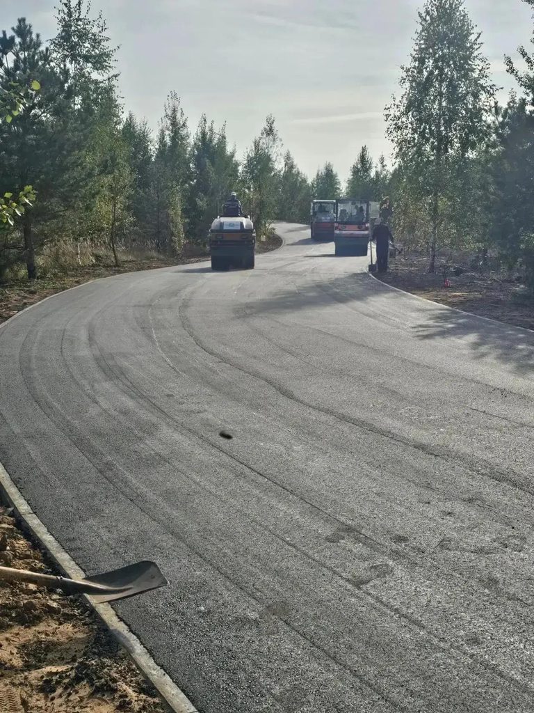 Глава Тольятти рассказал о ходе строительства велопешеходной дорожки в Портпоселке