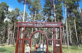 В Тольятти ищут подрядчика для содержания экопарка в Шлюзовом