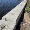 В Тольятти объявлен конкурс на ремонт берегоукрепления в районе Итальянского пляжа