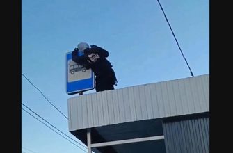 В Тольятти подростки от скуки повредили остановку В Тольятти подростки от скуки повредили остановку