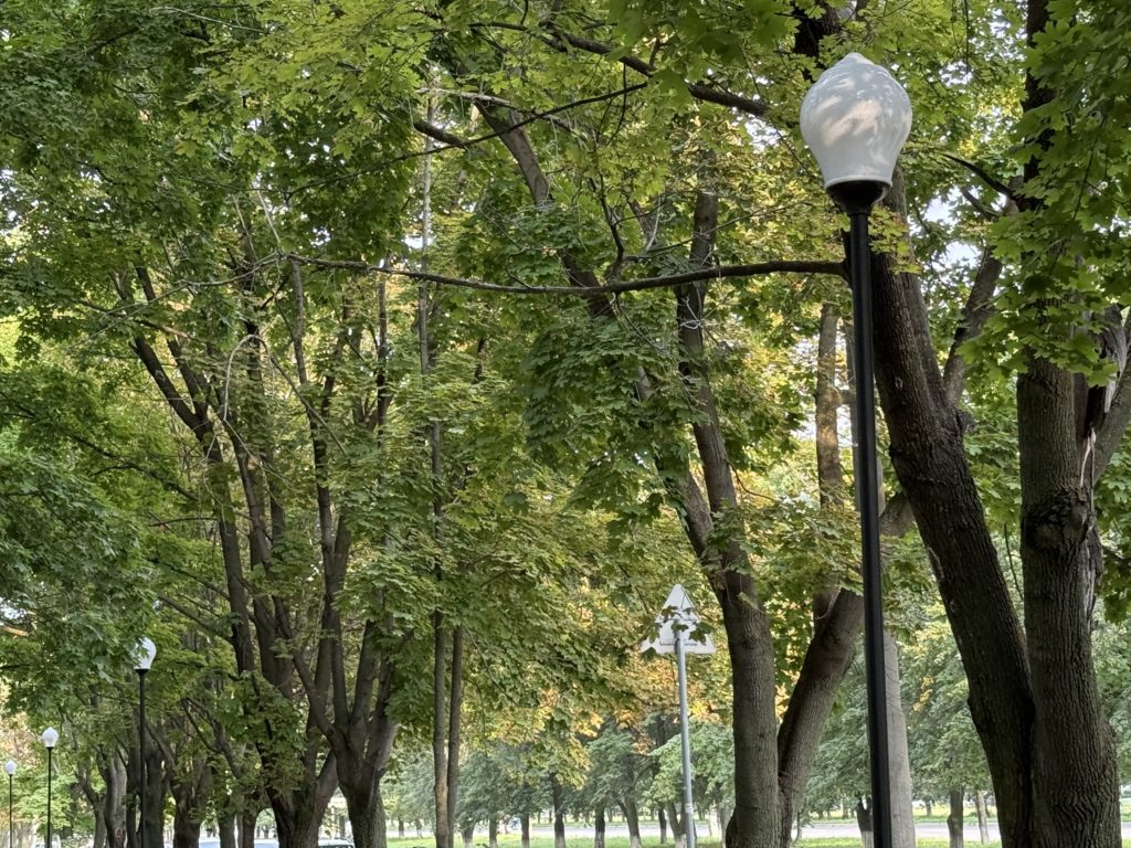 В Самарскую область придет потепление до +17 °C