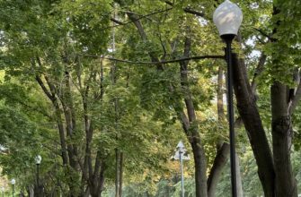 В Самарскую область придет потепление до +17 °C В Самарскую область придет потепление до +17 °C