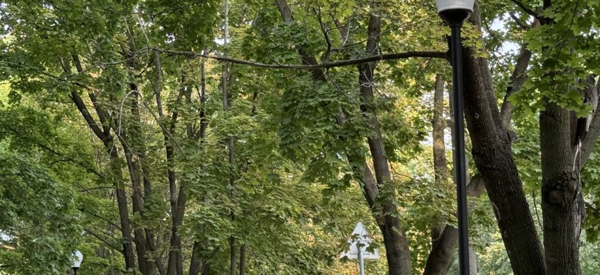 В Самарскую область придет потепление до +17 °C В Самарскую область придет потепление до +17 °C