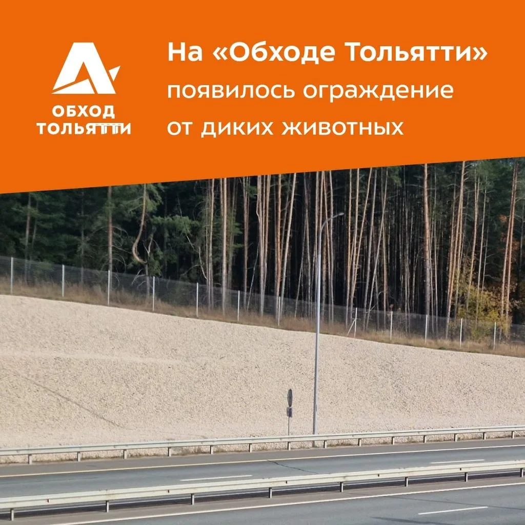 Фото: На обходе Тольятти установили ограждение от диких животных — Газета «Площадь СВОБОДЫ» (gazeta-ps.ru) На обходе Тольятти установили ограждение от диких животных — Газета «Площадь СВОБОДЫ» (gazeta-ps.ru)
